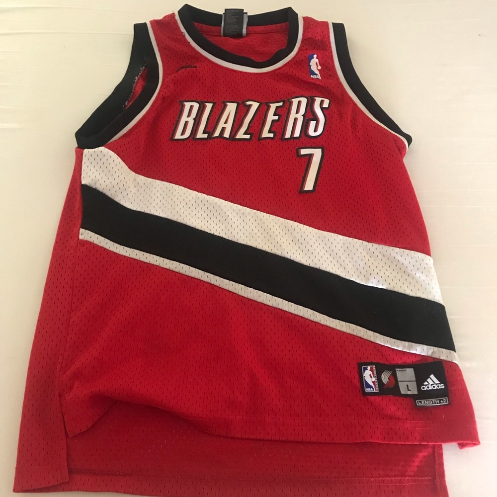 Brandon Roy Blazers Jersey